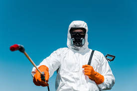 Professional Pest Control in Warner Robins, GA